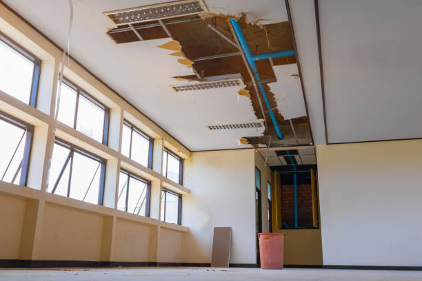 Best Fire Damage Restoration  in Alamo, NV