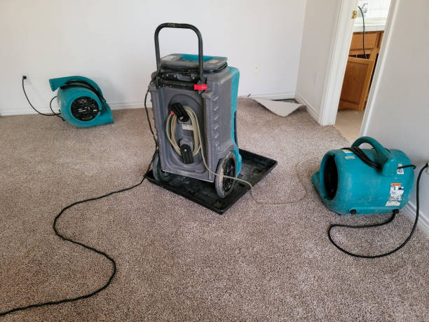 Best Ceiling water damage repair  in Alamo, NV