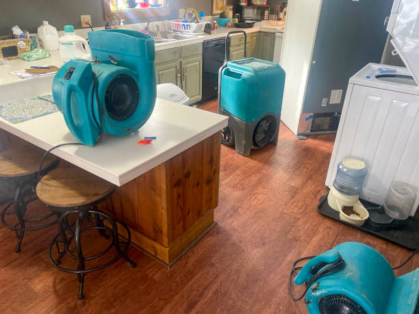 Best Residential water damage restoration  in Alamo, NV