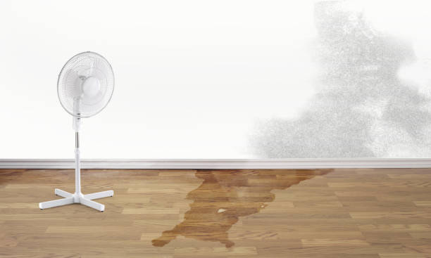 , NV Water damage restoration Company