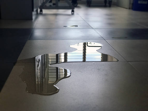 Water damage restoration process in NV