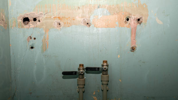Best Water damage restoration near me  in Alamo, NV