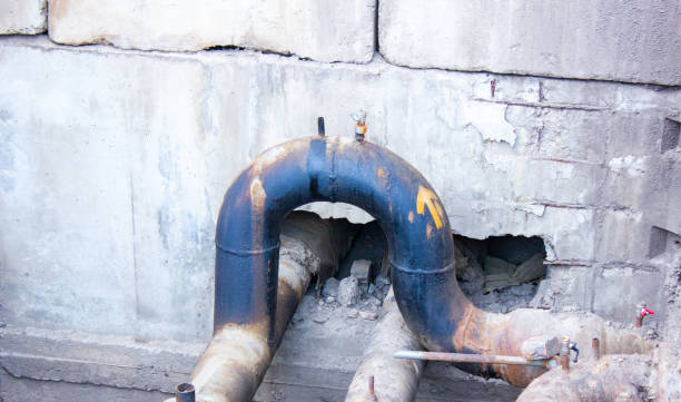 Best 24-hour water damage restoration  in Alamo, NV