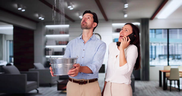 Best Basement water damage restoration  in Alamo, NV